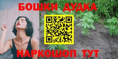 мдпв Гатчина