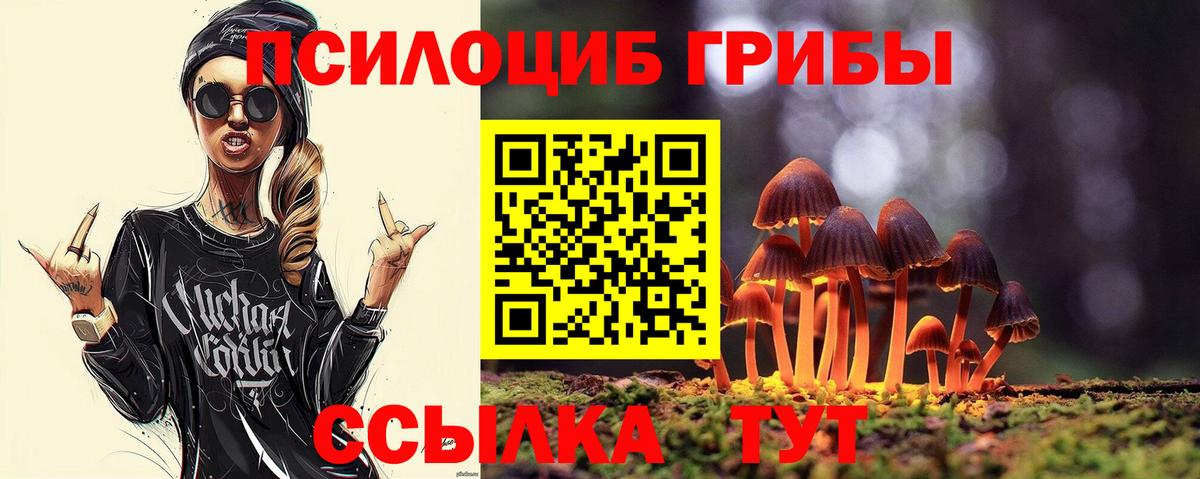 Ессентуки  Галлюциногенные грибы Psilocybine cubensis  Вход с VPN 